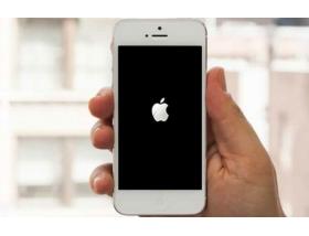 iPhone завис на яблоке, что делать? Пошаговые действия
